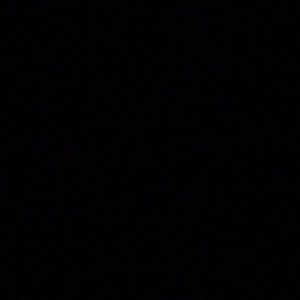 Meet your Posher, Rafael